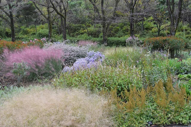 【よみうりランド】HANA・BIYORI内　PIET OUDOLF GARDEN TOKYO