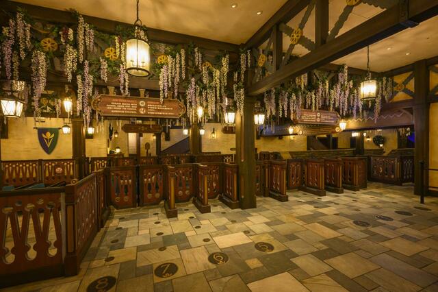 東京ディズニーシー「ファンタジースプリングス」内「アナとエルサのフローズンジャーニー」