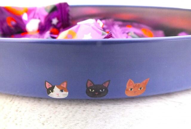 【カルディオリジナル ネコオーバル缶】缶の側面にもネコたちが！