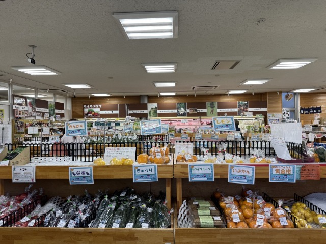 県内で採れた野菜も種類豊富