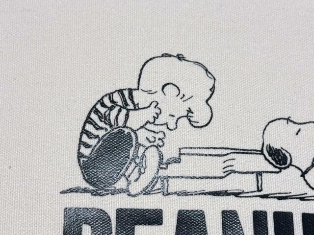 おもちゃのピアノを弾きこなすシュローダーがかわいい！