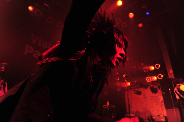 黒百合と影　撮影：坂口 正光