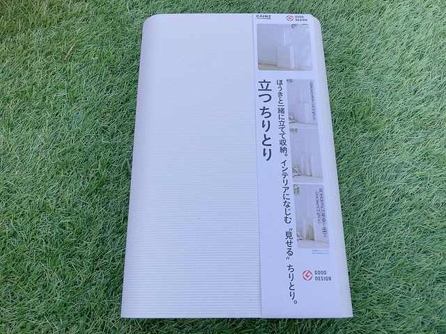 【カインズ 立つちりとり】ほうきと一緒にセットで買うことをおすすめします
