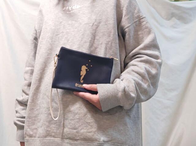 青いポーチは大きめ