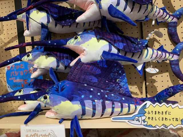 バショウカジキのぬいぐるみ発見！