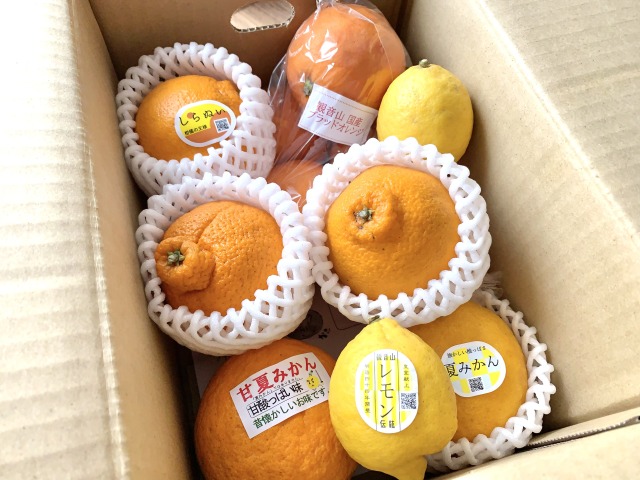 「和歌山直送フルーツ便」