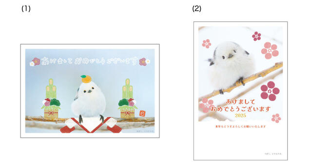 「ぼく、シマエナガ。」監修 年賀はがき【郵便局限定販売：キャラクター年賀はがき】