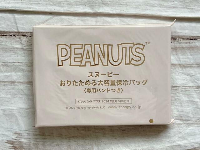 付録はスヌーピー「おりたためる大容量保冷バッグ（専用バンドつき）」