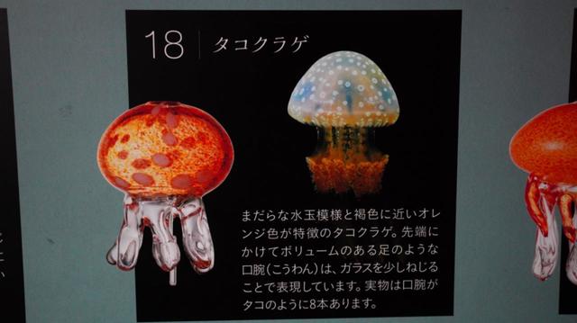20種類、130個の“クラゲ風鈴”が織りなす涼やかな音色「くらげと風鈴」7月3日(土)開始