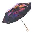 ラプンツェル＆フリン・ライダー 長傘 ジャンプ式 RAINY DAY 3,500円