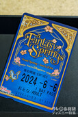 ディズニーリゾートライン フリーきっぷ/「ファンタジースプリングス」デザイン（撮影：YOSHI)