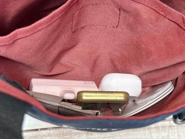 【カルディ いぬの日おさんぽバッグ/オリジナル バッグ】大きめのポケットには細々したものがたくさん入って便利です♪