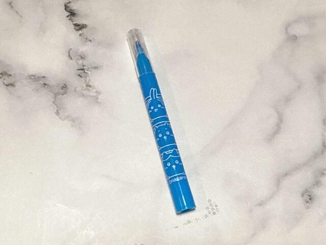 ミニサイズのペンもついています。インクのカラーはブルー