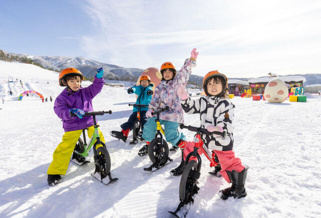 ストライダーもできちゃう!