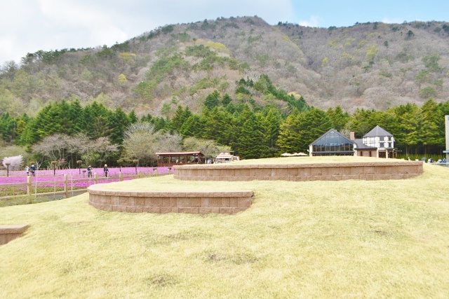 高台から竜神池などを一望できる