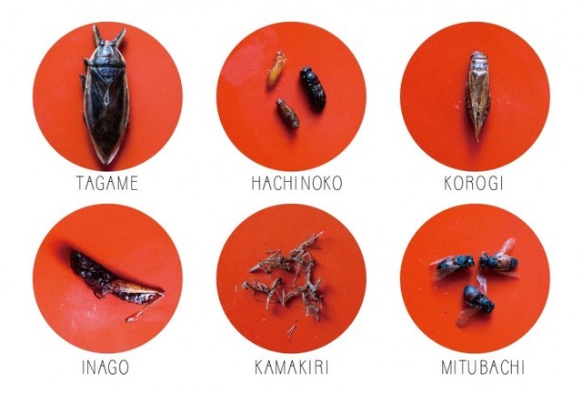 虫寿司6貫に使われている昆虫