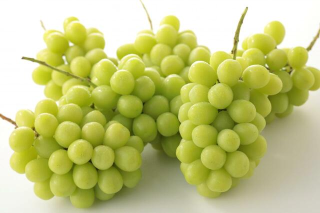 「シャインマスカット」<2023年9⽉6⽇(水)〜なくなり次第終了>【シャインマスカット&メロン食べ放題】