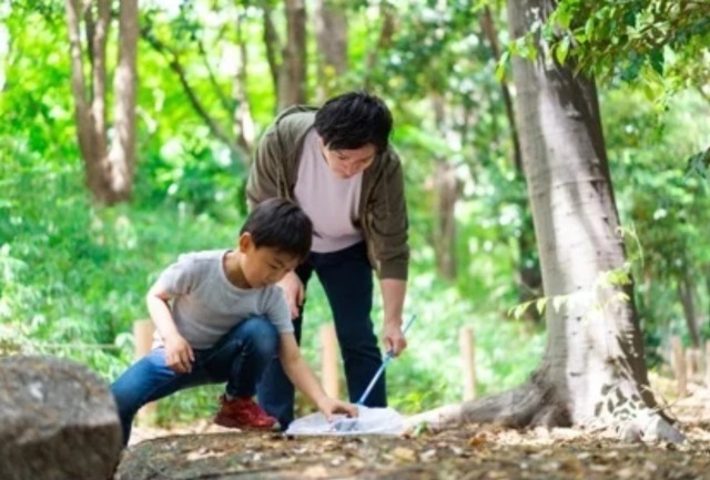 仕掛けにカブトムシはかかっているかな?