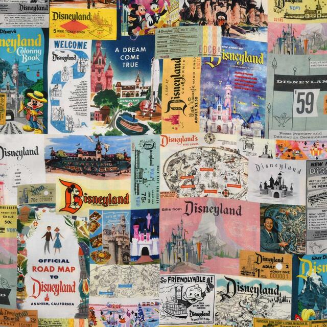 ディズニーキャラクター 半袖シャツ Disney100 The Eras Collection Disneyland 9,900円