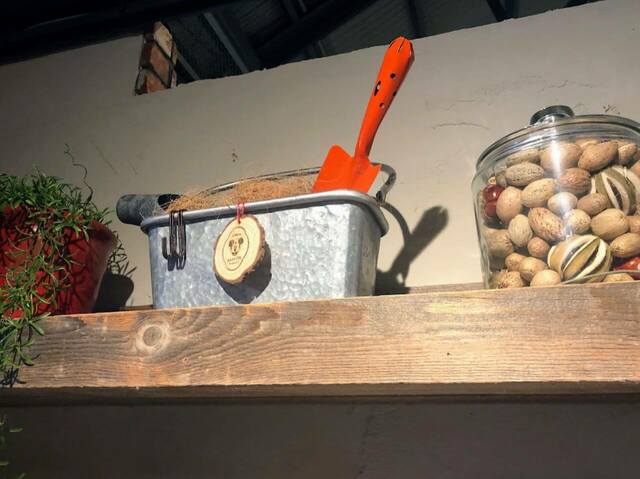 ミッキーマウスデザインの部屋「Disney HARVEST MARKET(ディズニー・ハーベスト・マーケット) By CAFE COMPANY」横浜赤レンガ倉庫店