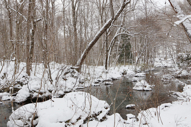 十和田湖から流れ出す唯一の川「奥入瀬川」。十和田湖と共に十和田八幡平国立公園の特別保護地区、 国指定天然記念物及び特別名勝に指定され、老齢樹の豊かな天然林が保全されています