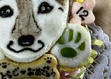【Dog Lab Bubbie Boo 似顔絵ケーキ】材料はすべてワンちゃんが食べられるもの