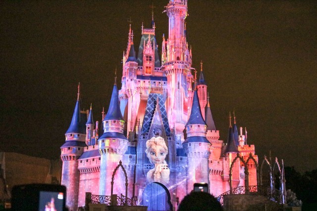 セレブレート・ザ・マジックのエルサ 