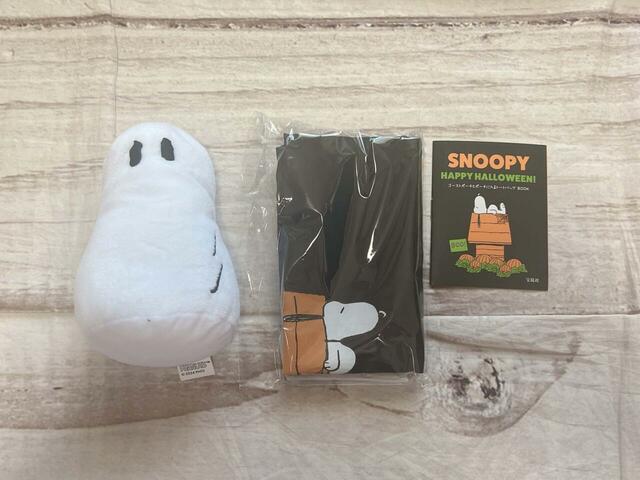 いざ開封!ポーチ、トートバッグ、ブックの3点が入っています