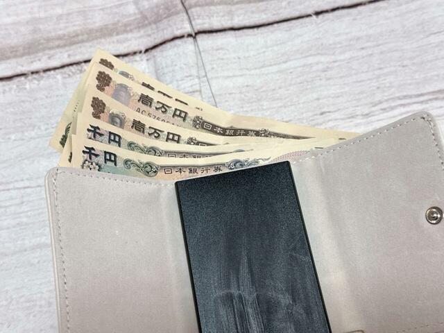 紙幣を折らずに入れられるのがうれしいポイント！