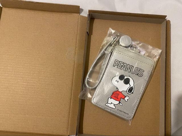 【宝島社　PEANUTS スヌーピー リール付きICカードケース】段ボールでしっかりと梱包されています