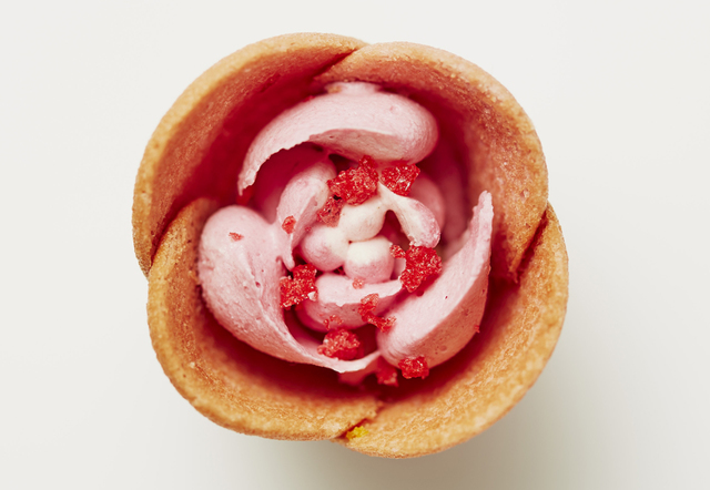 TOKYOチューリップローズ