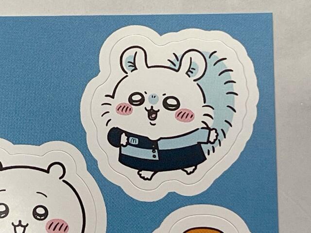 ユニフォーム姿を見せに来たのでしょうか「み〜て〜！」の声が聞こえてきそうなキュートなモモンガ