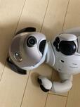仰向けになったaibo
