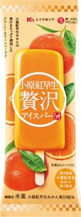 「小原紅早生贅沢アイスバー」