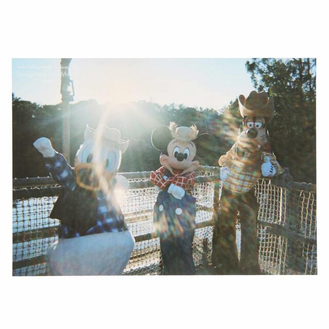 写真 500円|東京ディズニーリゾート・フォトグラフィープロジェクト「イマジニング・ザ・マジック」第2弾グッズ|東京ディズニーリゾート40周年“ドリームゴーラウンド”|発売日:2023年12月7日(木)|販売店舗:東京ディズニーランド「グランドエンポーリアム」、東京ディズニーシー「ヴァレンティーナズ・スウィート」