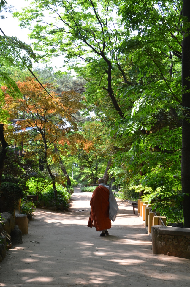 吉祥寺の境内を歩く僧侶の姿に見惚れる