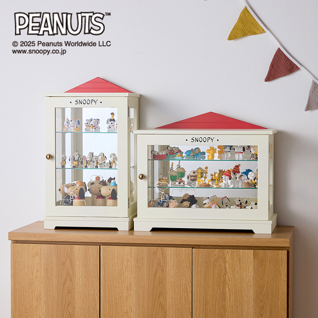 背面ミラーの卓上コレクションケース