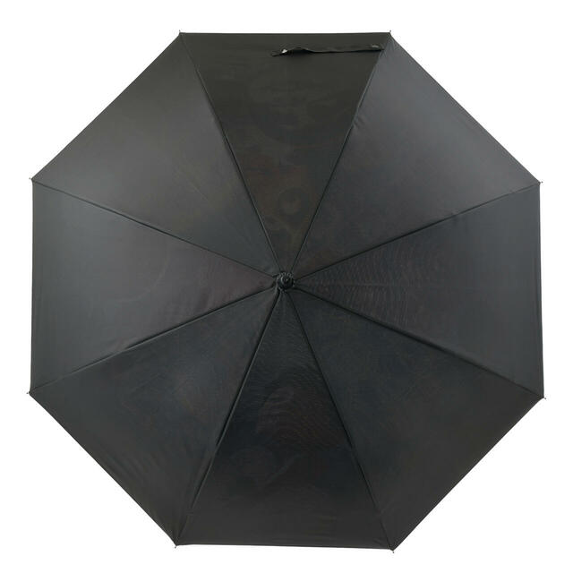 長傘 ジャンプ式 RAINY DAY 3,500円