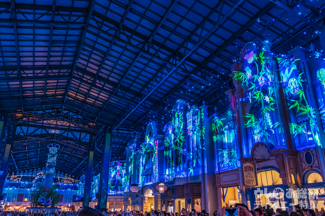 スターライト・ウィッシングプレイス