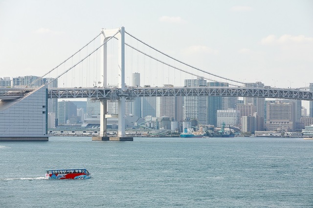 ©2019 Pokemon. ©1995-2019 Nintendo/Creatures Inc. /GAME FREAK inc.