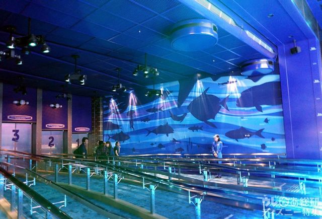 壁には海洋生物のシルエットが