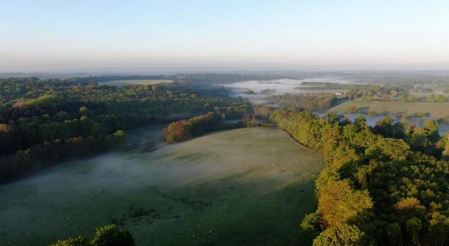 2022年の「アッシュダウンの森」