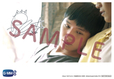 日本語版小説「SOTUS」 【2巻】ドラマのワンシーンブロマイド(アーティット)アーティット役/Perawat Sangpotirat (Krist)複製サイン入り