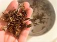 【紅茶の出がらし活用方法】しっかり乾燥させると消臭剤に！