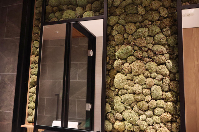 「苔スイートルーム」洗面台にも苔が！