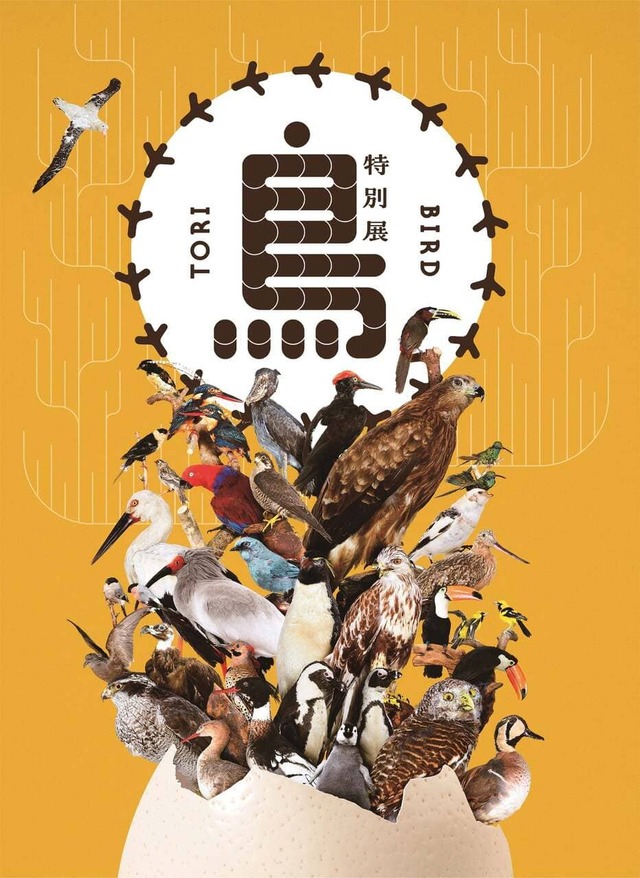 特別展「鳥～ゲノム解析が解き明かす新しい鳥類の系統～」2025年6月15日まで名古屋市科学館にて開催中！