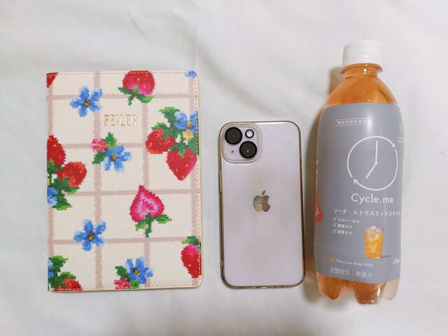 500mlペットボトルと同じくらいの大きさ