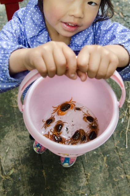 ほんの十数分で、こんなに!