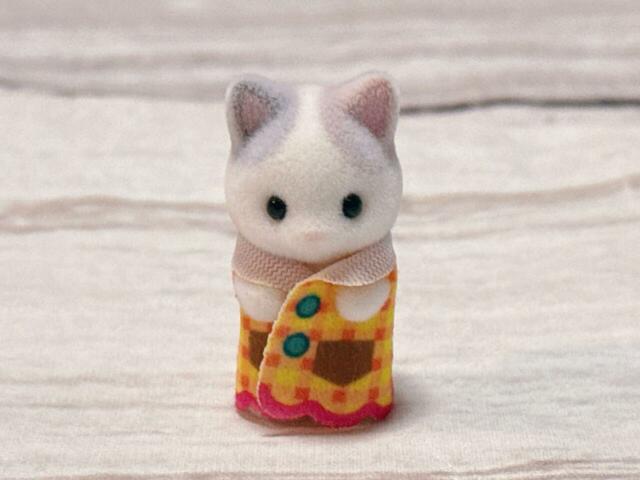 やさしい色合いのまるい模様が特徴の、ラテネコの小さい赤ちゃんです♪