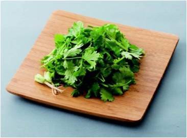 さっぱり　塩レモン鍋　パクチー